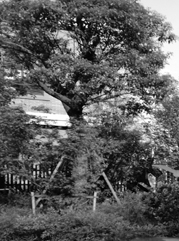 富裕注册公司